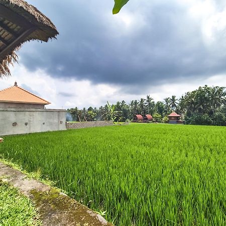 Villa Padi Menari Ubud Esterno foto
