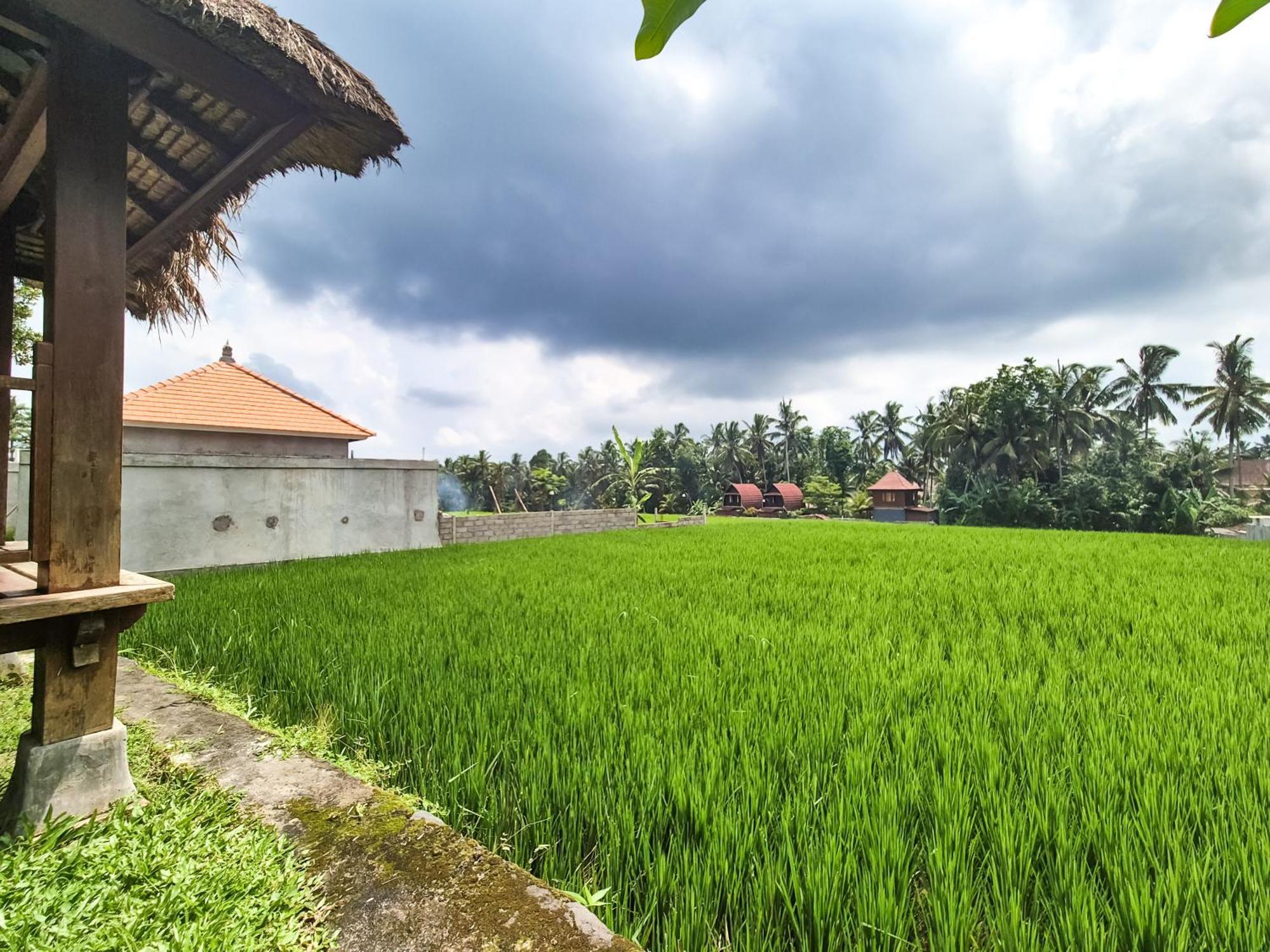 Villa Padi Menari Ubud Esterno foto