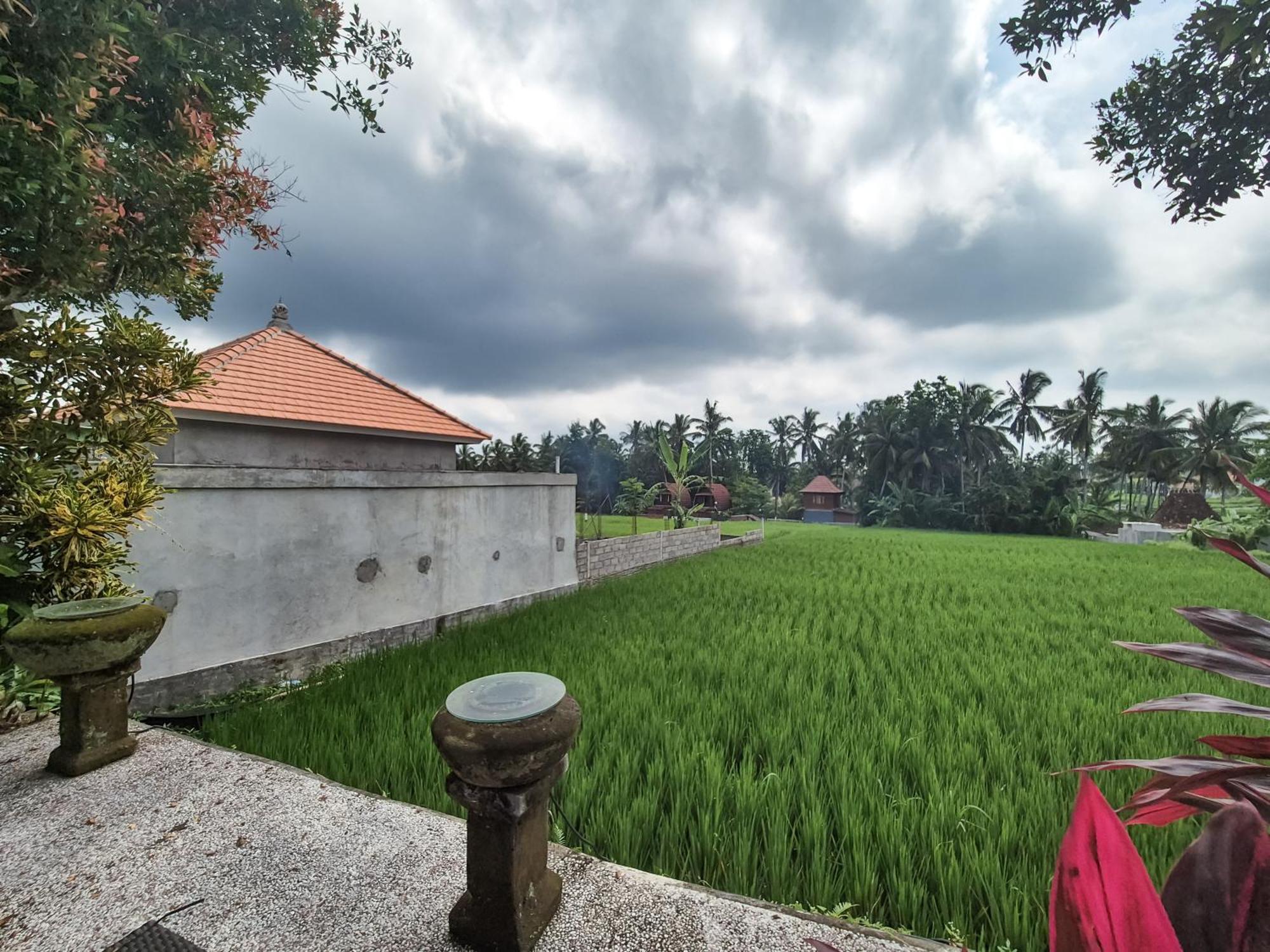 Villa Padi Menari Ubud Esterno foto
