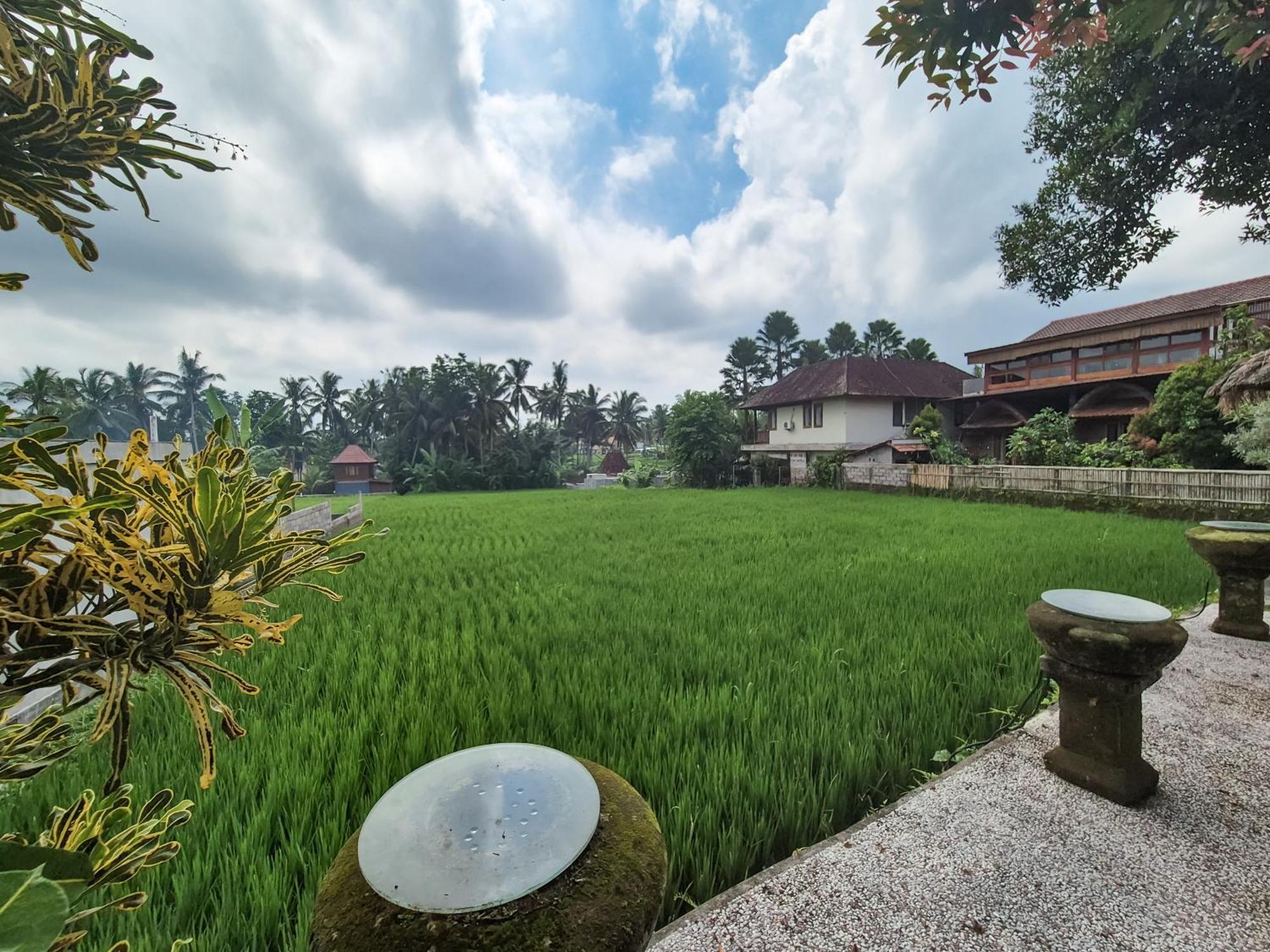 Villa Padi Menari Ubud Esterno foto