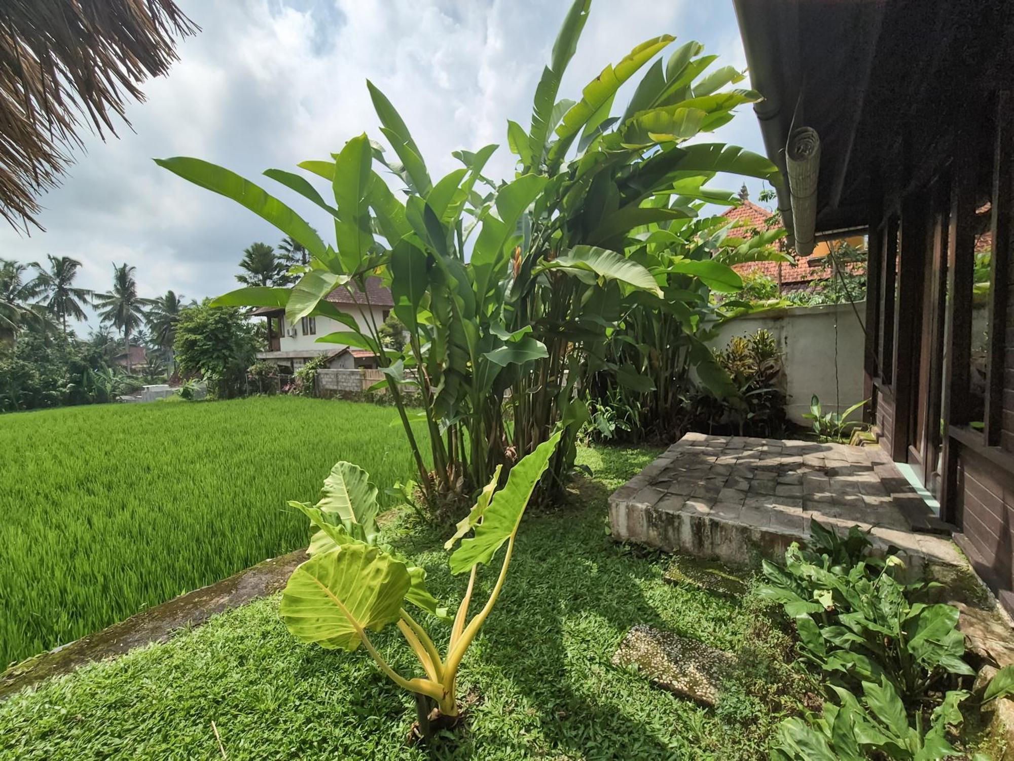 Villa Padi Menari Ubud Esterno foto